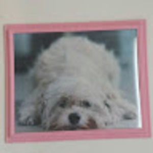 Meet your Posher, Candy